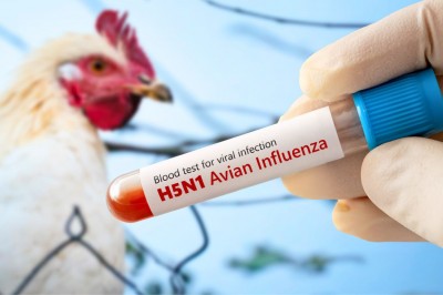 CAMPANHA SALARIAL: Fenatracoop age com cautela para proteger empregos em meio à crise da gripe aviária CAMPANHA SALARIAL: Fenatracoop age com cautela para proteger empregos em meio à crise da gripe aviária